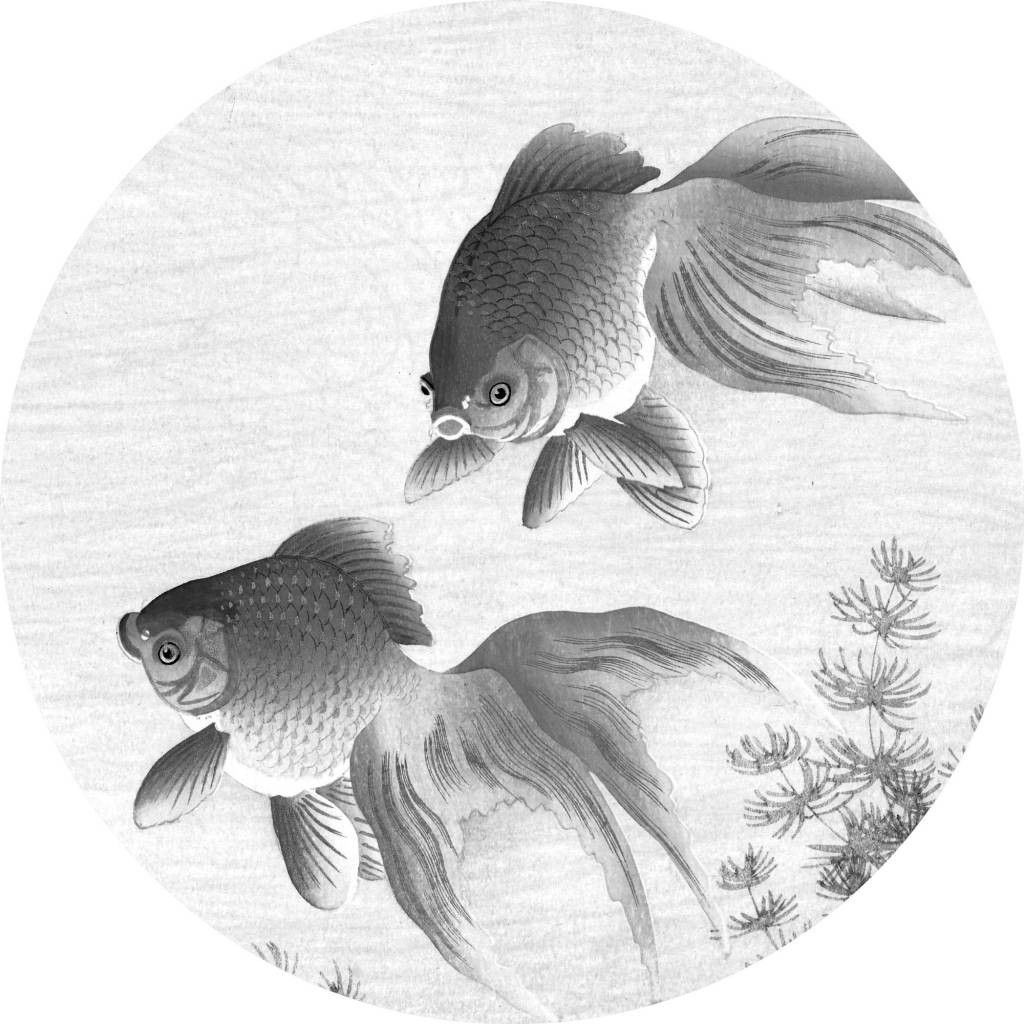 KEK Wallpaper Circle, Goldfish diameter van 142,5 of 190 cm-8719743887022-30