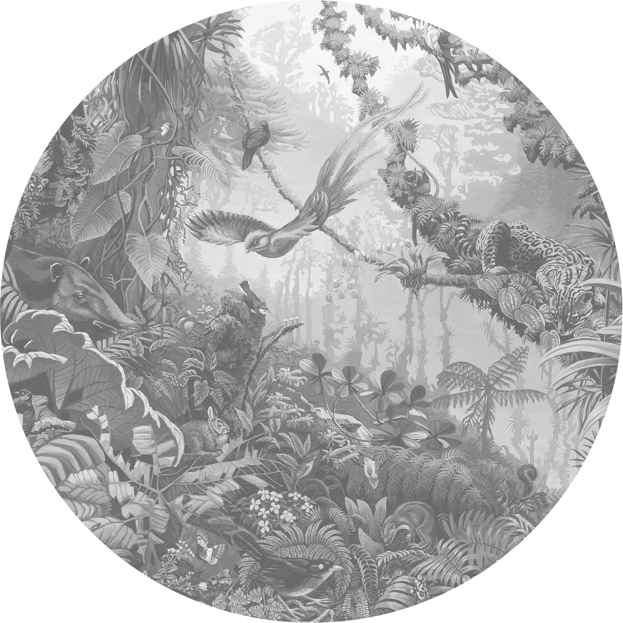 KEK Wallpaper Circle, Tropical Landscapes diameter van 237,5cm-8719743888579-313