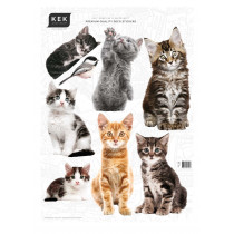 Kek Amsterdam Muurstickers Kittens (8 Wall Stickers), 42 x 59 cm (8 wall stickers)-8718754017916-20