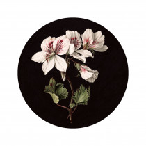 KEK Wallpaper Circle, White Flowers diameter van ø 190 cm-8719743887978-20
