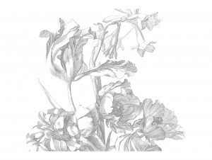 Kek Amsterdam Behang Engraved Flowers I 389.6x280cm-8718754018524-20