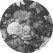 KEK Wallpaper Circle, Golden Age Flowers diameter van 142,5 of 190 cm-8719743885448-01