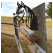 Kiekeboe Tuindecoratie Paard Jumper zwart-4260186487033-01