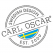 Carl Oscar Swedish TEMP LunchJar, kinderen 0,3 L Oranje-7350071501443-04