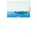 KEK Amsterdam Fotobehang op de rug van een walvis-8718754015943-01