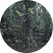 KEK Wallpaper Circle, Tropical Landscapes diameter van 237,5cm-8719743888555-010