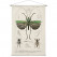 Naturalis Unlimited wanddoek Locusta sexpunctata, Charles Dessalines D Orbigny 120 x 180 cm-7438254526534-02