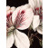 KEK Wallpaper Circle, White Flowers diameter van 142,5-8719743888340-08