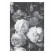 Kek Amsterdam Behang Golden Age Flowers 194.8x280cm-8719743886889-03